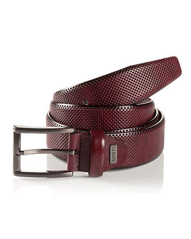 Monti Dublin Business Belt