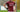 Lockdown Interview with Conor Whelan, Vice-Captain of the Galway senior hurling team