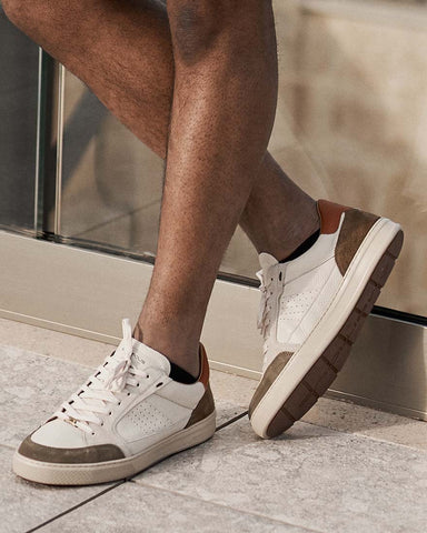 Ambitious ANOPOLIS Panel Trainer