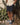 Gardeur JASPER-8TN-410010 Shorts