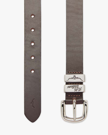 A R.M. Williams Slim Drover Belt, Chestnut shown flat against a light gray background, featuring a silver-toned buckle, metal keeper, and a small embossed logo near the tip.